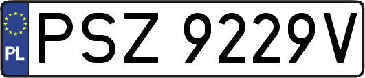 PSZ9229V