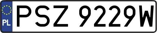 PSZ9229W