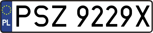 PSZ9229X
