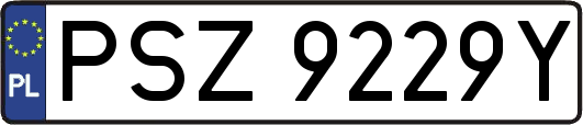 PSZ9229Y