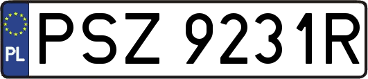 PSZ9231R