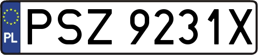 PSZ9231X