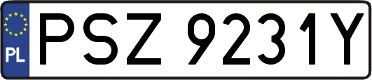 PSZ9231Y