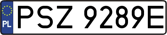 PSZ9289E