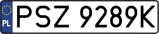 PSZ9289K