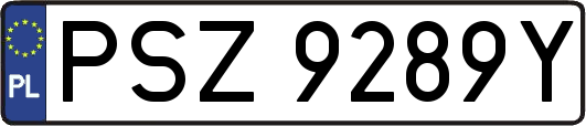 PSZ9289Y