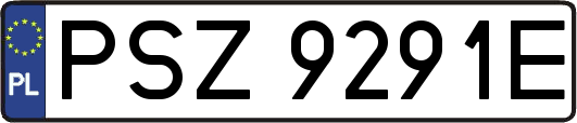 PSZ9291E