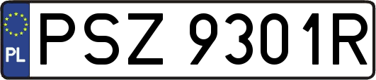 PSZ9301R