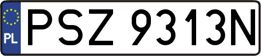 PSZ9313N