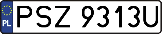 PSZ9313U