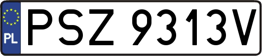 PSZ9313V