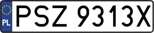 PSZ9313X