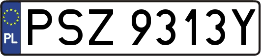 PSZ9313Y