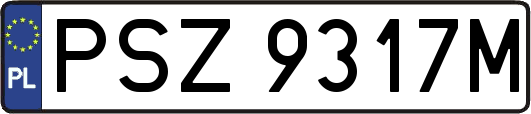 PSZ9317M