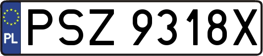 PSZ9318X