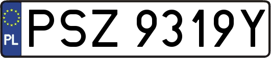 PSZ9319Y