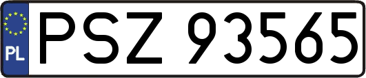 PSZ93565