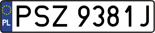 PSZ9381J