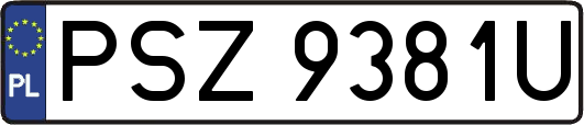 PSZ9381U