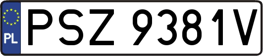 PSZ9381V
