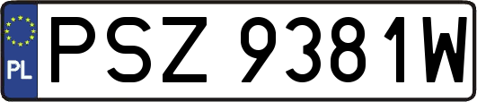 PSZ9381W