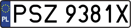 PSZ9381X