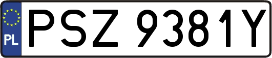 PSZ9381Y