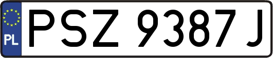 PSZ9387J