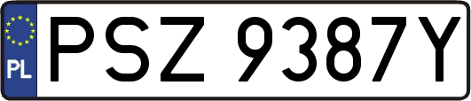PSZ9387Y