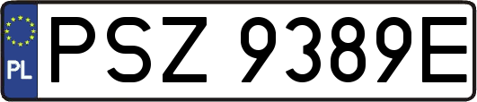 PSZ9389E