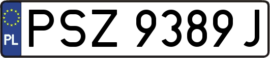 PSZ9389J