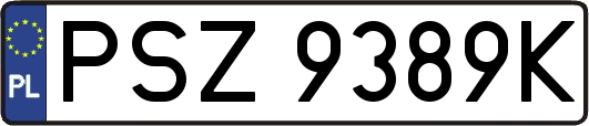 PSZ9389K
