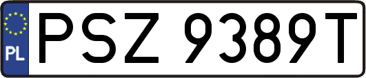 PSZ9389T