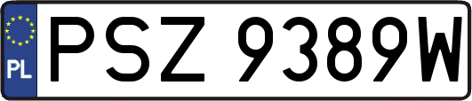 PSZ9389W
