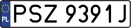 PSZ9391J