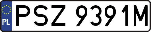 PSZ9391M