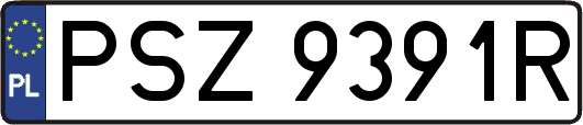 PSZ9391R