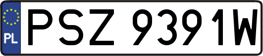 PSZ9391W