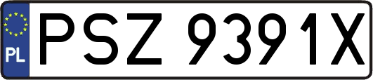 PSZ9391X