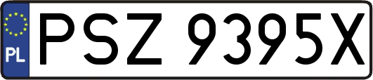 PSZ9395X