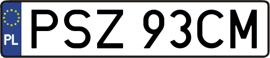 PSZ93CM