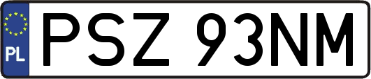 PSZ93NM
