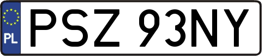 PSZ93NY