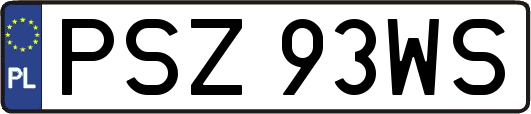 PSZ93WS