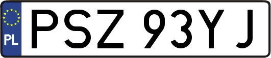 PSZ93YJ