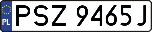 PSZ9465J