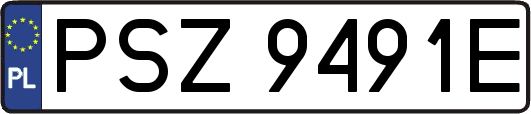 PSZ9491E