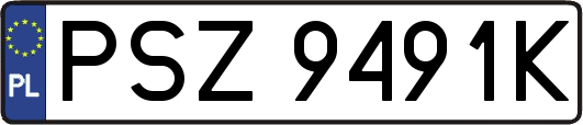 PSZ9491K