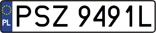 PSZ9491L