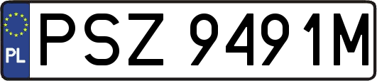 PSZ9491M